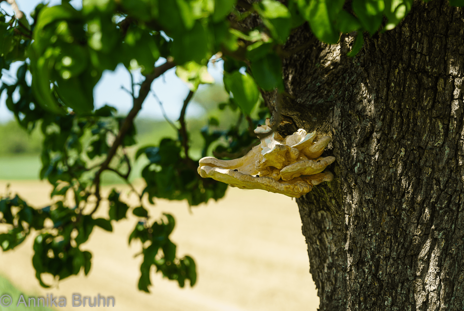 Er hat sich veränder!
